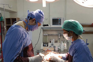 Surgery & Allied Services